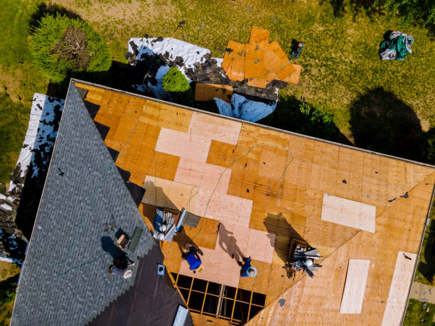 Best Roof Leak Repair  in Oakland, IA